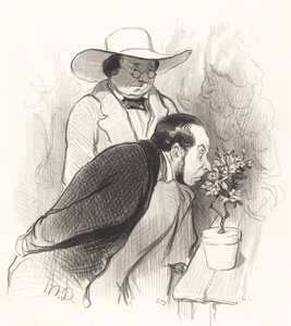 Egy botanikus diadala alkotó: Honoré Daumier