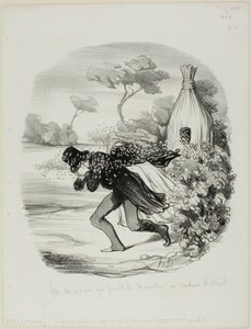 Egy úriember, aki túl közelről akarta tanulmányozni a méhek szokásait, 6. tábla a Pastoralesből alkotó: Honoré Victorin Daumier