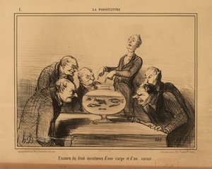 Haltenyésztés 1. sz.: Egy ponty és egy tudós vérfertőző ivadékának vizsgálata. alkotó: Honoré Daumier