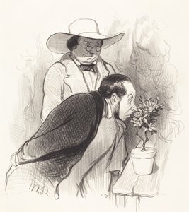 Egy botanikus diadala alkotó: Honoré Daumier