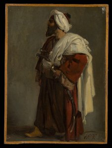 Arab harcos