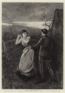 Tess of the D