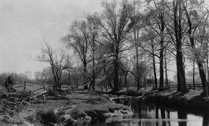 Tavasz, 1885-86. alkotó: Hugh Bolton Jones