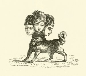 Cerberus nőstény (metszet)
