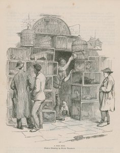 Madárbolt alkotó: Hugh Thomson