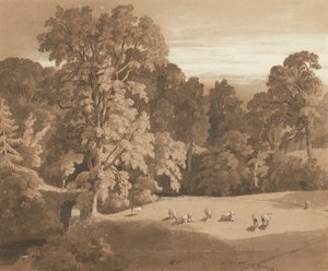 Parkland a Minto House-nál (toll és tinta, valamint mosás)