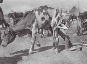 Afrika: (fekete-fehér fénykép)