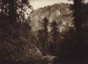 Mexikó: La Canada, Contreras, D F (fekete-fehér fénykép)
