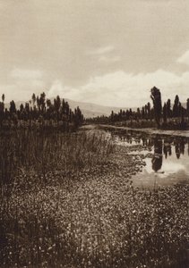 Mexikó: Xochimilco, Az egyik fő csatorna (fekete-fehér fotó)