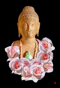 BUDDHA alkotó: Hugo Nefe