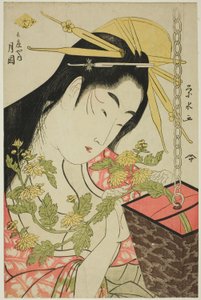 Mr. Tsukioka a Te Hyogo-ból