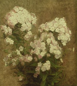 Phlox, 1870 alkotó: Ignace Henri Jean Fantin Latour