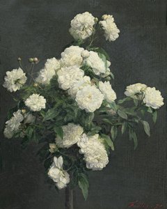 Fehér bazsarózsa csendélete, 1870