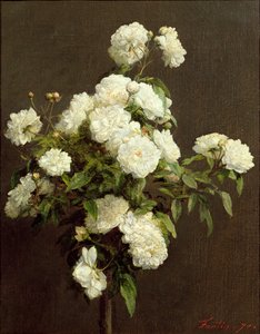 Fehér rózsák, 1870