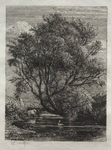 A Fűzfa alkotó: Ignaz Gunther