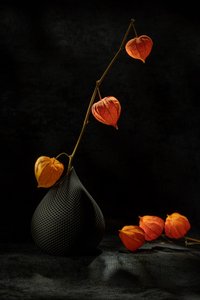  alkotó: Igor Kopcev