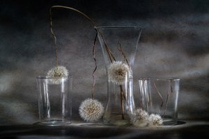  alkotó: Igor Kopcev