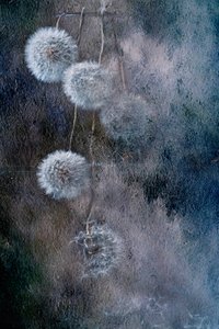  alkotó: Igor Kopcev