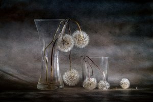  alkotó: Igor Kopcev