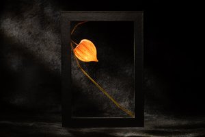  alkotó: Igor Kopcev