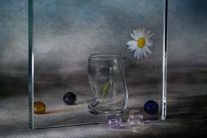  alkotó: Igor Kopcev