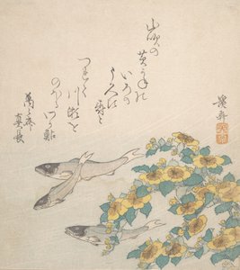 Sárga virágokkal úszó halak, kb. 1830. alkotó: Ikeda Eisen