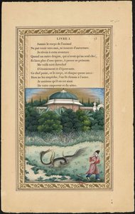 A sokfejű sárkány és a sokfarkú sárkány, 1837-1839.