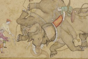 Részlet egy elefántharcból, virágos arabeszk szegéllyel, 1610 körül (átlátszatlan wc és arany papíron) alkotó: Indian School