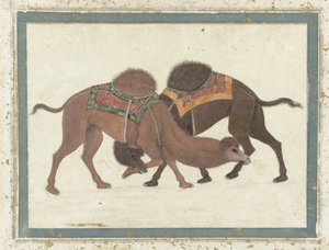 Harc tevék, 1680-1700 körül alkotó: Indian School