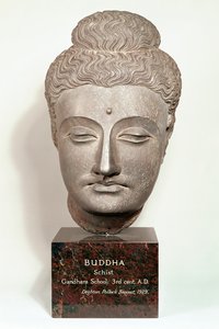 Fej a Buddha-szoborról, Gandharából, Északnyugat-Indiából (szürke pala)