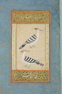 Hoopoes, 1590 körül (átlátszatlan wc és arany papíron) alkotó: Indian School