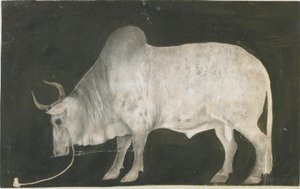 indiai bika alkotó: Indian School