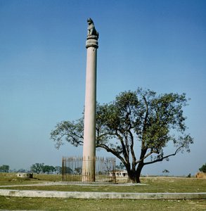 Ashoka császár oroszlánoszlopa (i.e. 264-223 körül) alkotó: Indian School