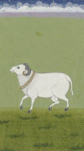 Aranygalléros kos, 1700-1799 alkotó: Indian School