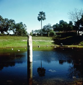 A pataliputrai palota romjai alkotó: Indian School