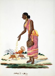 Csirkéket etető nő (wc papíron) alkotó: Indian School