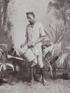 Bombay / Mumbai: Kertész (fekete-fehér fotó) alkotó: Indian photographer