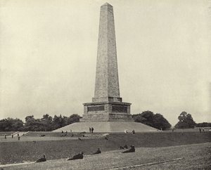 The Wellington Testimonial, Phoenix Park (f/w fotó) alkotó: Irish Photographer