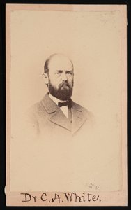 Charles Abiathar White portréja 1826-1910, 1868. alkotó: Isaac Augustus Wetherby