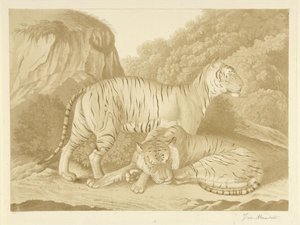 Két tigris egy tájban alkotó: Isaac van Haastert (signed by artist)