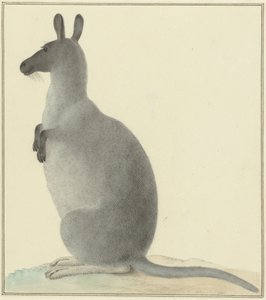 Kenguru alkotó: Isaac van Haastert