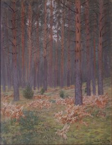 Páfrányok, 1894