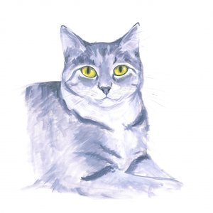 Figyelő macska