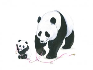 A panda játékideje