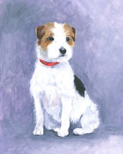 A terrier tartása