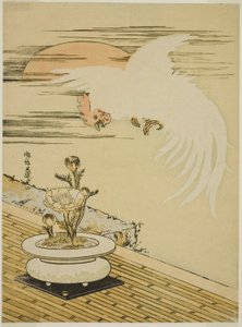 Kakas Flying Over Pot Adonis alkotó: Isoda Koryusai