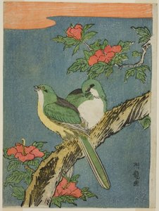 Két madár a hibiszkuszfán alkotó: Isoda Koryusai