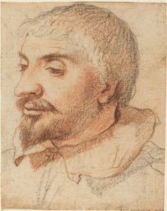 Egy ember feje alkotó: Italian 17th Century
