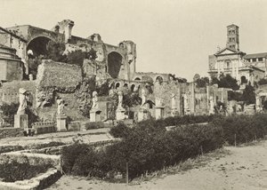 Forum Romanum, Konstantin-bazilika, Romulus temploma és a Vesta-szüzek háza alkotó: Italian Photographer