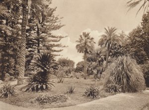Szicília / Szicília: Villa Tasca, Palermo (fekete-fehér fotó) alkotó: Italian Photographer